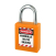 Cadenas de consignation anse acier image 3 Cadenas de consignation anse acier image 3