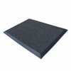 Tapis désinfectant chaussures pour l?industrie agroalimentaire image 1 Tapis désinfectant chaussures pour l?industrie agroalimentaire image 1